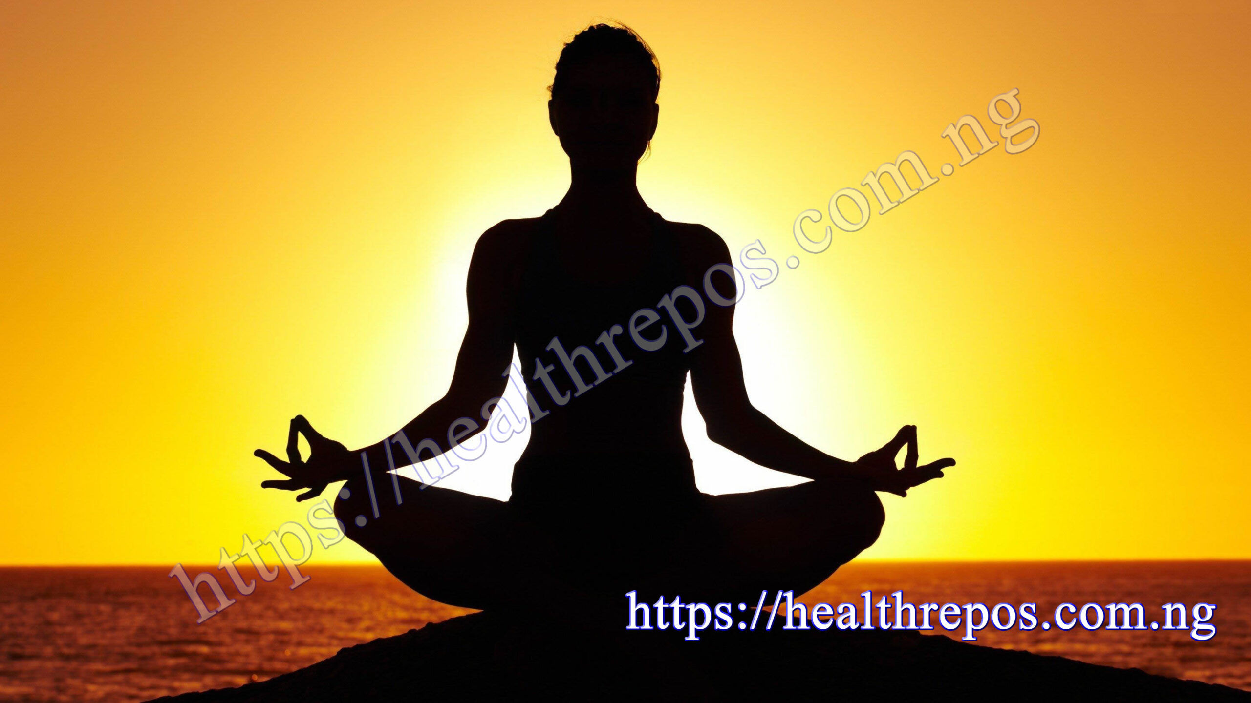 https://healthrepos.com.ng/